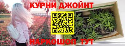 ALPHA PVP Малгобек