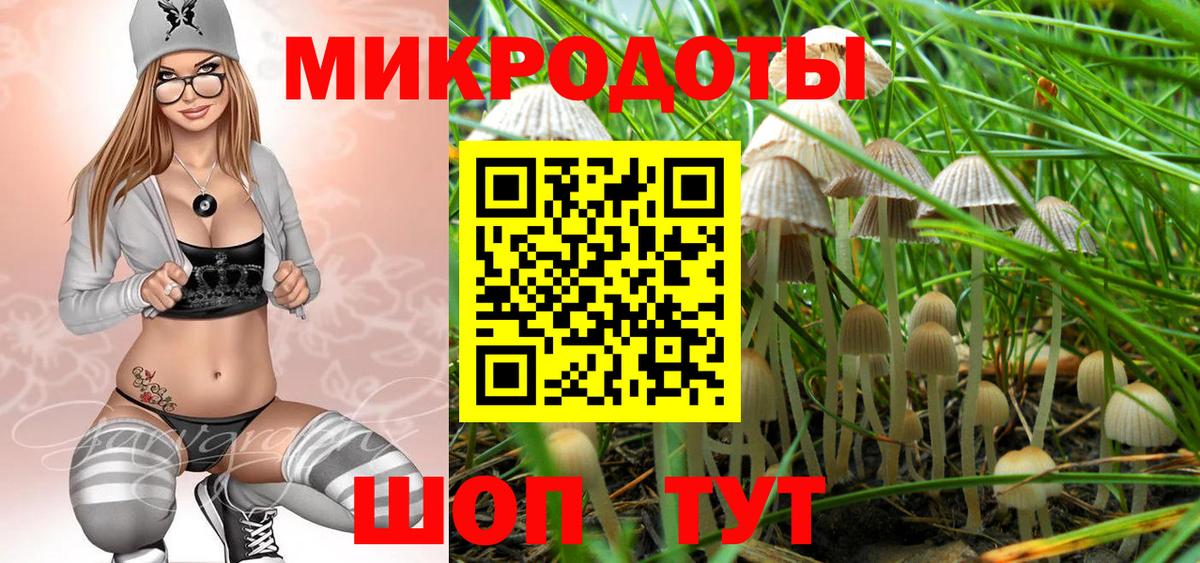 Псилоцибиновые грибы Psilocybe  Вход с VPN  Псилоцибиновые грибы MAGIC MUSHROOMS  Торжок 